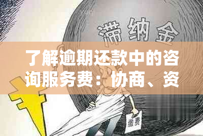 了解逾期还款中的咨询服务费：协商、资讯、费用及服务全解析