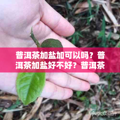 普洱茶加盐加可以吗？普洱茶加盐好不好？普洱茶能加盐泡喝吗？