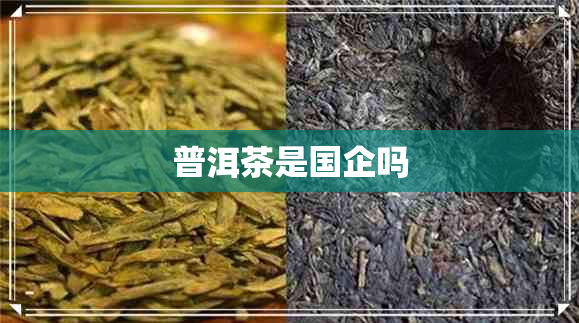 普洱茶是国企吗