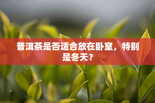 普洱茶是否适合放在卧室，特别是冬天？