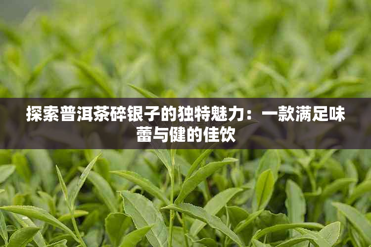 探索普洱茶碎银子的独特魅力：一款满足味蕾与健的佳饮