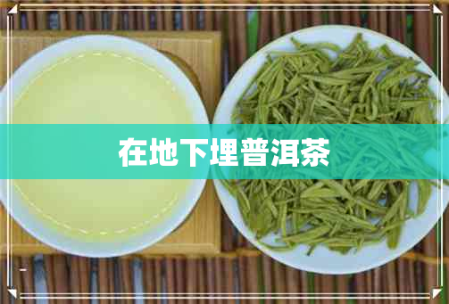 在地下埋普洱茶