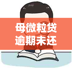 母微粒贷逾期未还对子女的影响：深度解析与解决方案