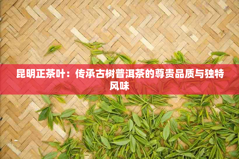 昆明正茶叶：传承古树普洱茶的尊贵品质与独特风味