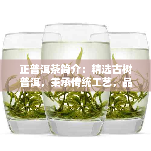 正普洱茶简介：精选古树普洱，秉承传统工艺，品质越，口感醇厚。