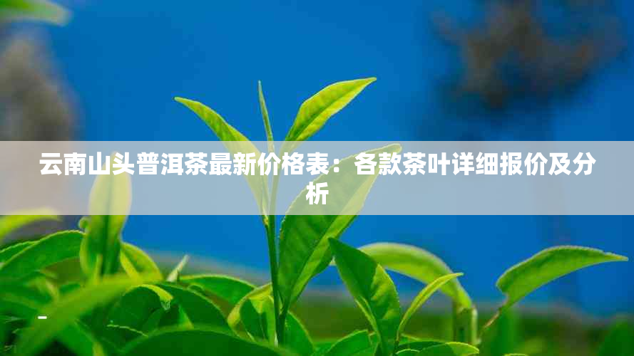 云南山头普洱茶最新价格表：各款茶叶详细报价及分析