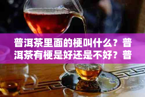 普洱茶里面的梗叫什么？普洱茶有梗是好还是不好？普洱茶的茶梗可以吃吗？