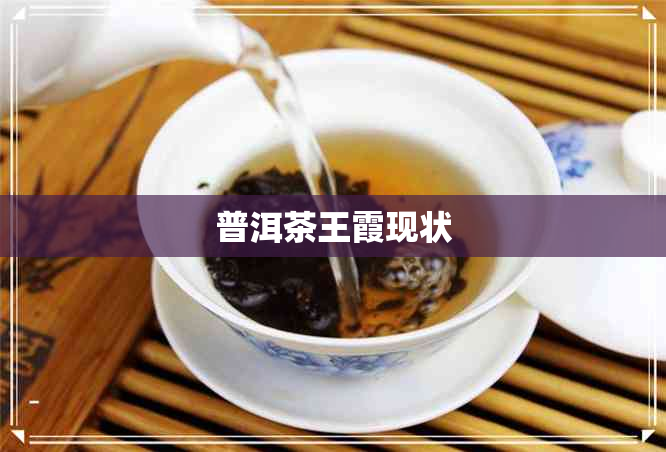 普洱茶王霞现状