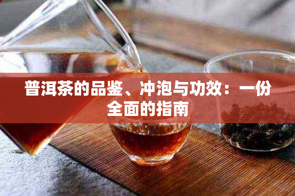 普洱茶的品鉴、冲泡与功效：一份全面的指南