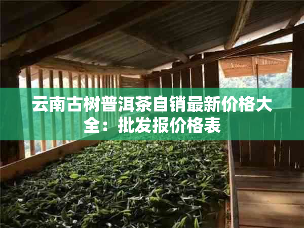 云南古树普洱茶自销最新价格大全：批发报价格表