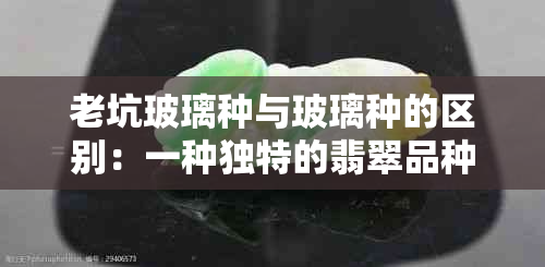 老坑玻璃种与玻璃种的区别：一种独特的翡翠品种介绍