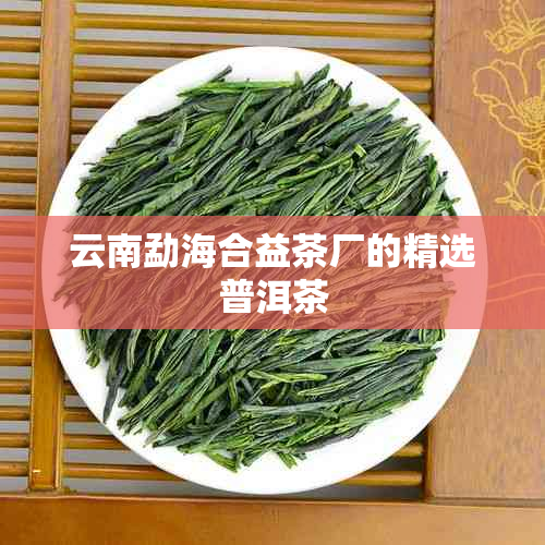 云南勐海合益茶厂的精选普洱茶