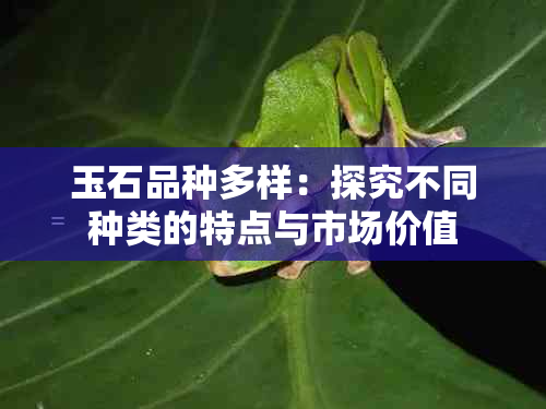 玉石品种多样：探究不同种类的特点与市场价值