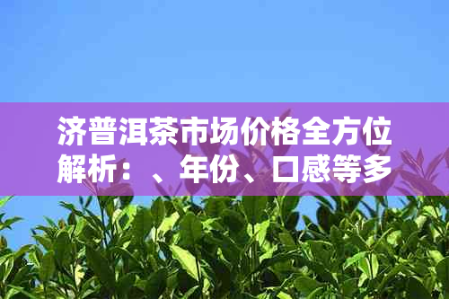 济普洱茶市场价格全方位解析：、年份、口感等多方面综合比较