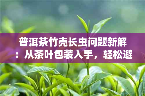 普洱茶竹壳长虫问题新解：从茶叶包装入手，轻松避免生虫困境