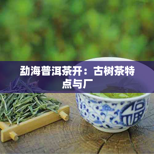 勐海普洱茶开：古树茶特点与厂