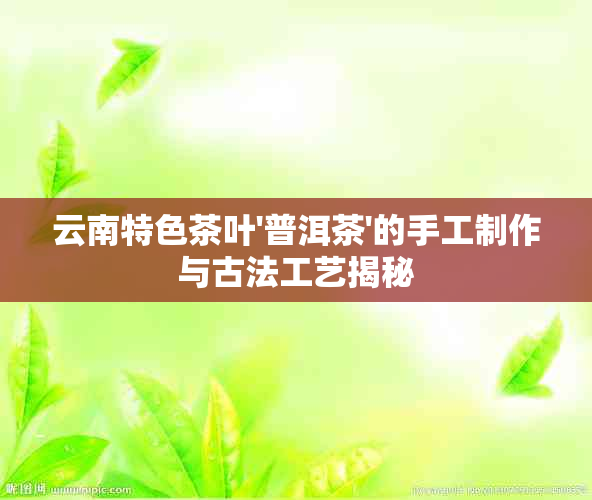 云南特色茶叶'普洱茶'的手工制作与古法工艺揭秘