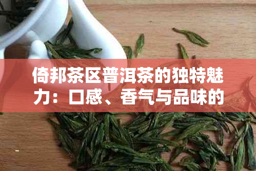 倚邦茶区普洱茶的独特魅力：口感、香气与品味的完美融合