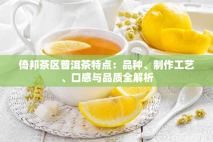 倚邦茶区普洱茶特点：品种、制作工艺、口感与品质全解析