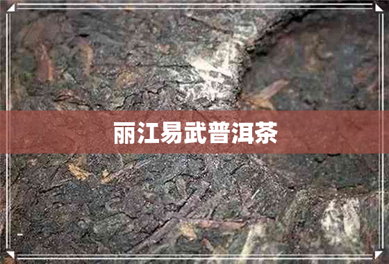 丽江易武普洱茶