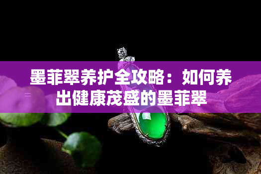 墨菲翠养护全攻略：如何养出健康茂盛的墨菲翠