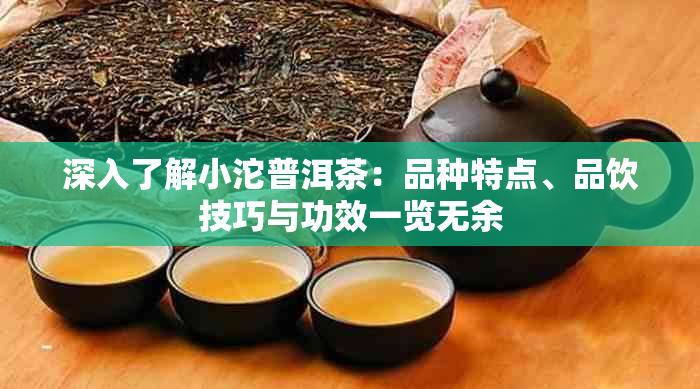 深入了解小沱普洱茶：品种特点、品饮技巧与功效一览无余