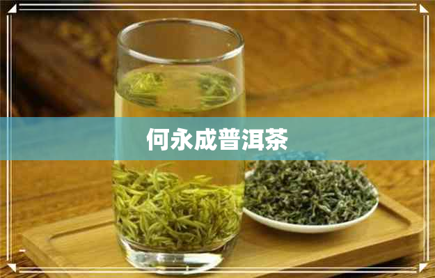 何永成普洱茶