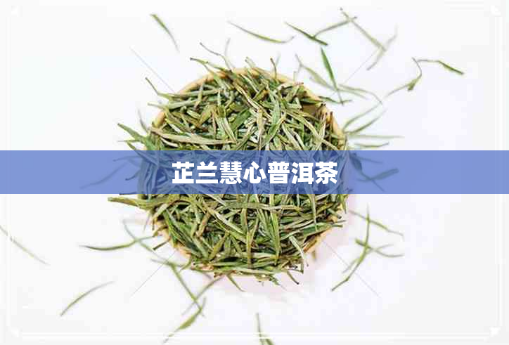 芷兰慧心普洱茶