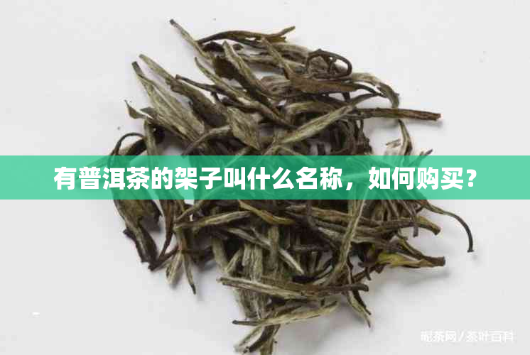 有普洱茶的架子叫什么名称，如何购买？