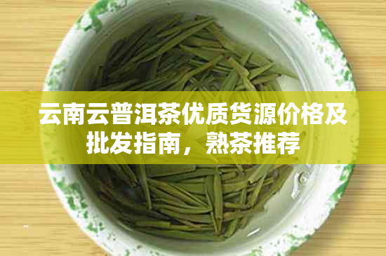 云南云普洱茶优质货源价格及批发指南，熟茶推荐