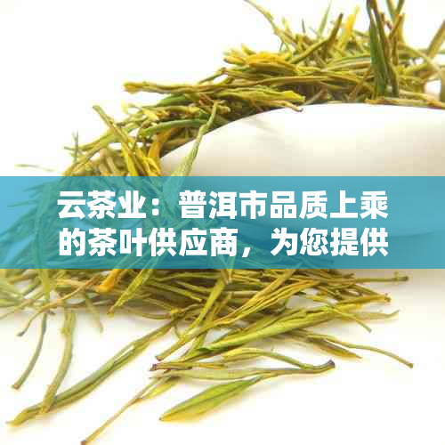 云茶业：普洱市品质上乘的茶叶供应商，为您提供全面的茶叶选择与购买指南