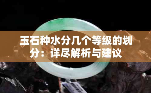 玉石种水分几个等级的划分：详尽解析与建议