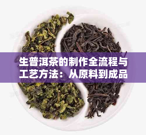 生普洱茶的制作全流程与工艺方法：从原料到成品的详细步骤