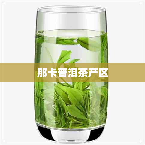 那卡普洱茶产区