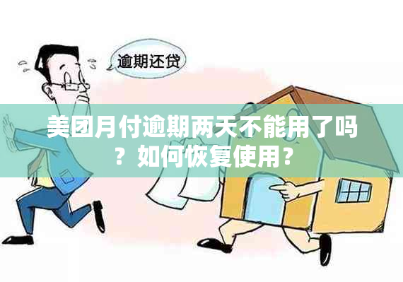 美团月付逾期两天不能用了吗？如何恢复使用？