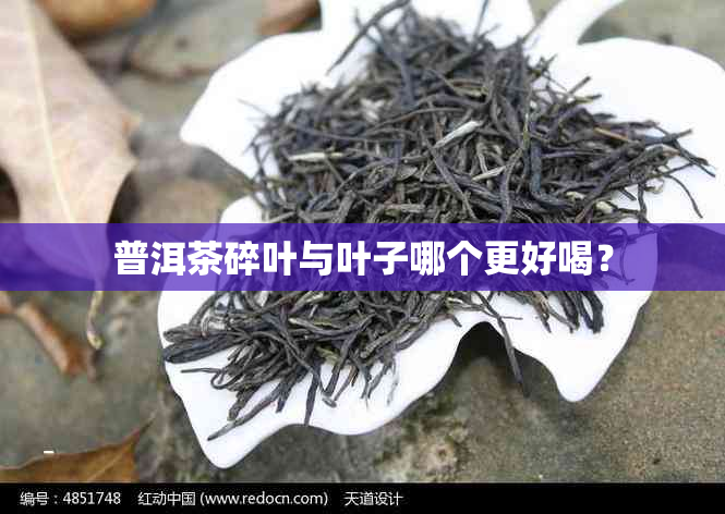 普洱茶碎叶与叶子哪个更好喝？