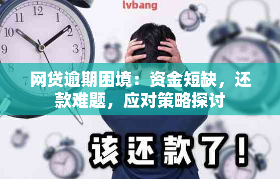 网贷逾期困境： *** ，还款难题，应对策略探讨