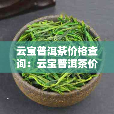 云宝普洱茶价格查询：云宝普洱茶价格表及价位详解