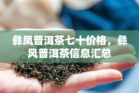 彝凤普洱茶七十价格，彝风普洱茶信息汇总