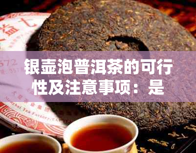 银壶泡普洱茶的可行性及注意事项：是否适合使用银壶泡普洱茶？