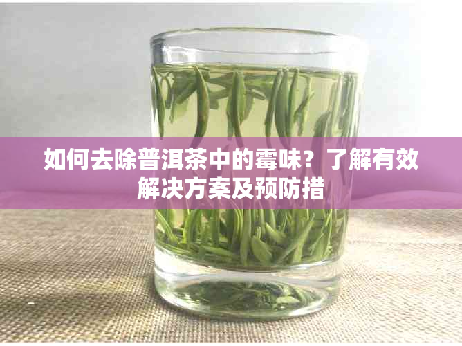 如何去除普洱茶中的霉味？了解有效解决方案及预防措