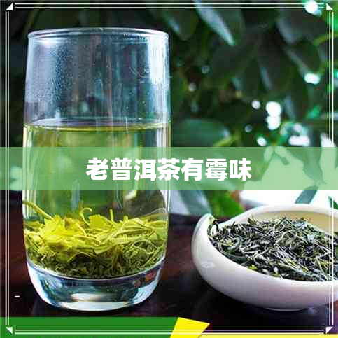 老普洱茶有霉味