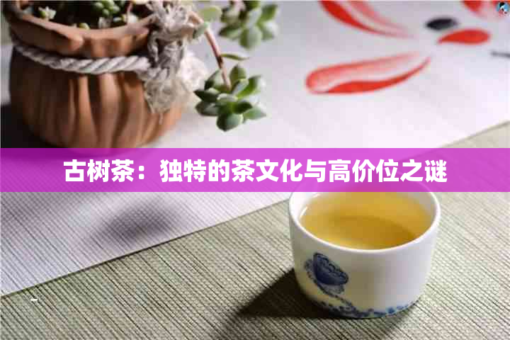 古树茶：独特的茶文化与高价位之谜