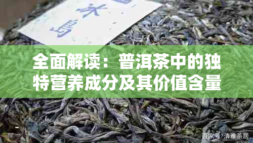 全面解读：普洱茶中的独特营养成分及其价值含量表