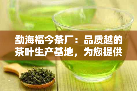 勐海福今茶厂：品质越的茶叶生产基地，为您提供全方位的茶文化体验