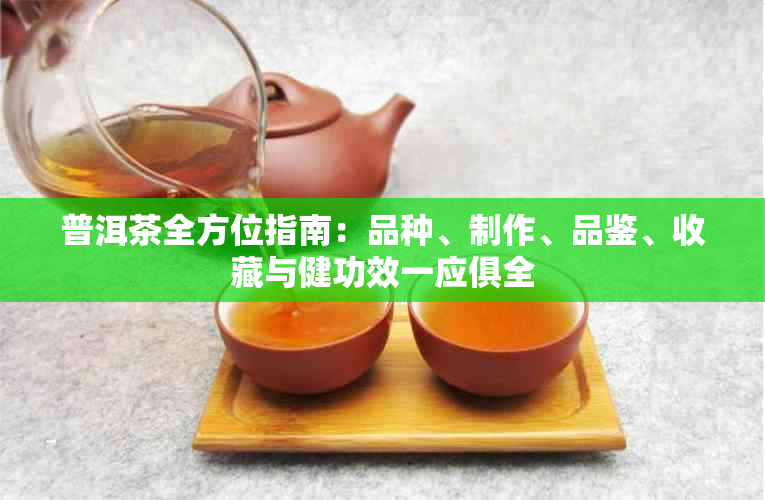 普洱茶全方位指南：品种、制作、品鉴、收藏与健功效一应俱全