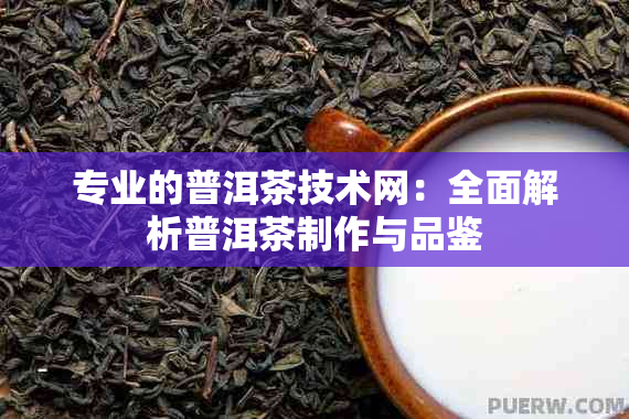 专业的普洱茶技术网：全面解析普洱茶制作与品鉴