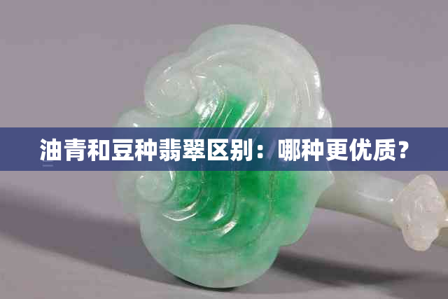 油青和豆种翡翠区别：哪种更优质？