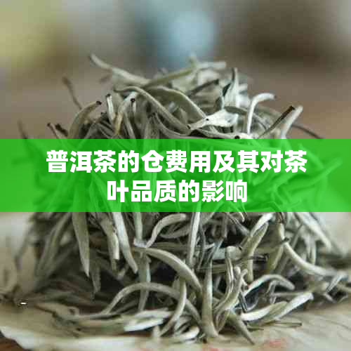 普洱茶的仓费用及其对茶叶品质的影响