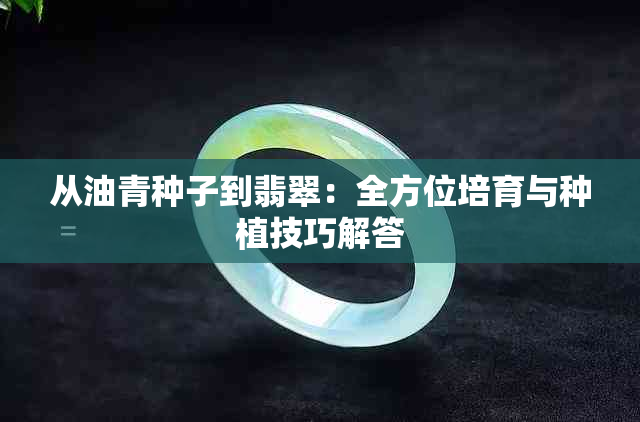 从油青种子到翡翠：全方位培育与种植技巧解答